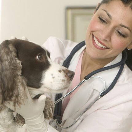 eavmslide3 eavmslide3