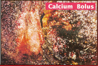 Calcium bolus damage from Højbjerg et al