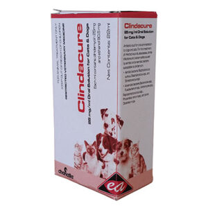 Clindacure oral drops for the treatment of wounds and abscesses in cats and dogs