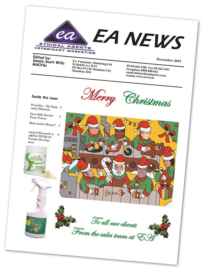 Ethical Agents Newsletter - Christmas 2021