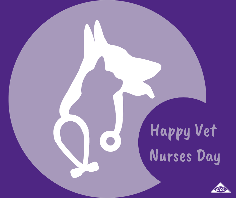 Celebrating Veterinary Nurses Day: Honoring the Heartbeat of Animal Care in New Zealand