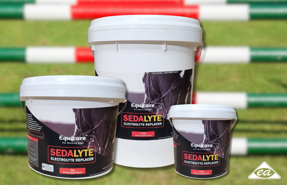 The Vital Role of Electrolytes in Horse Health